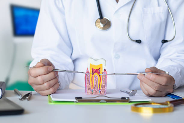 Best Dental Abscess Treatment in Freer, TX